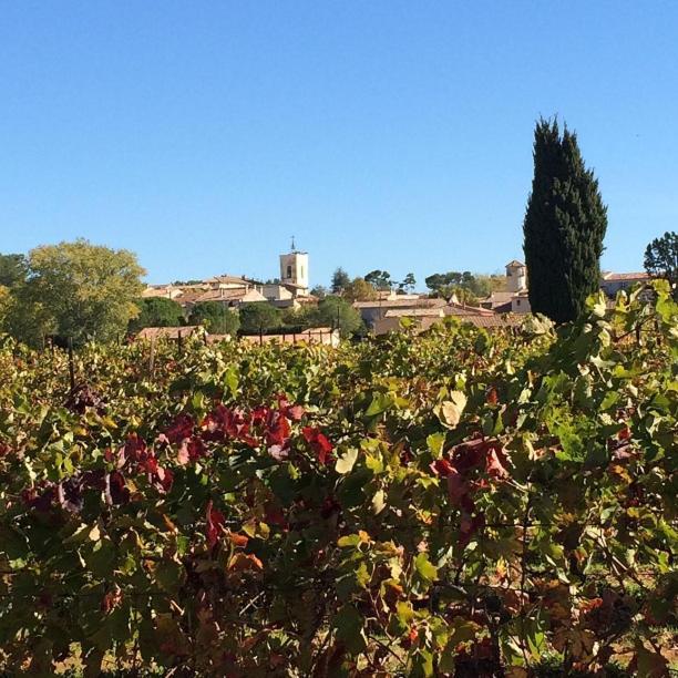 La Reyniere Du Sud Luberon Villa La Bastide-des-Jourdans Exterior photo